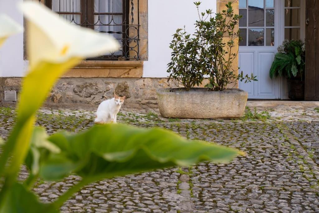 Mima'S House - La Casa De Mima Villa โกมิญาส ภายนอก รูปภาพ